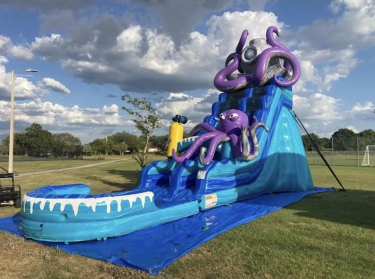 water slide inflatable in Wimauma